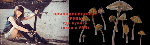 a pvp Волосово