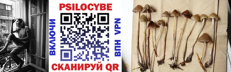 Галлюциногенные грибы Psilocybe  Зима 